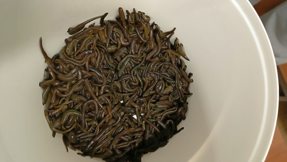 Пиявки Рессей от 550 теңге