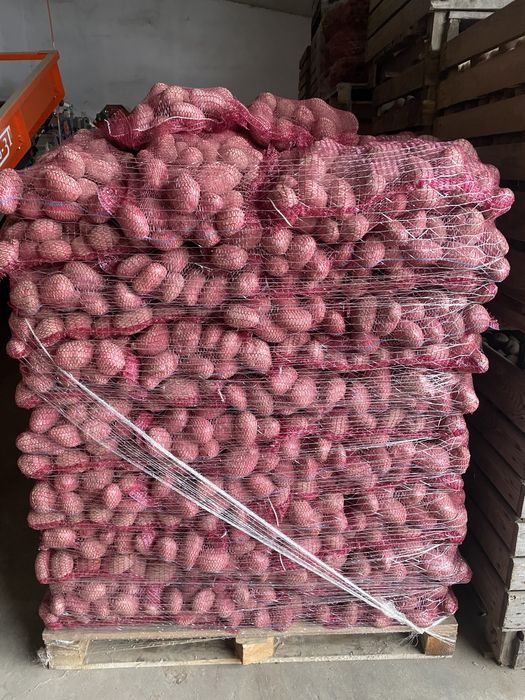 Cartofi rosu si alb la pret foarte convenabil