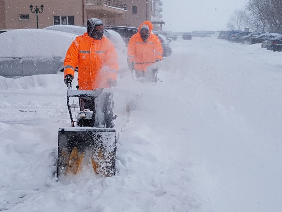 Dezapezire profesionala