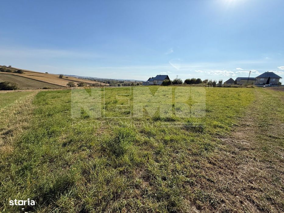 Teren intravilan Burla | 4.000 mp