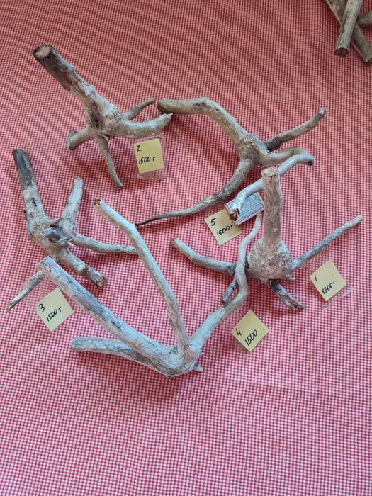 Коряги для поделок или аквариума