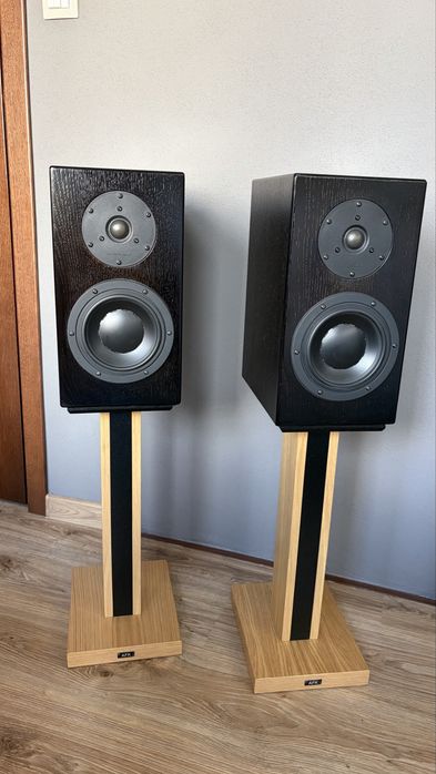 Exproject D2.1ex - Swans D2.1