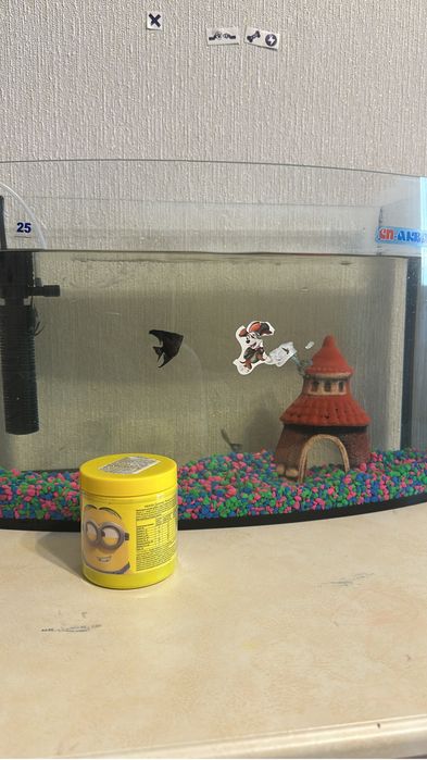 Аквариум, 25 литров