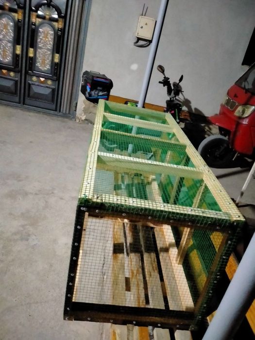 Tovuq quyon va kanarekalar  uchun katak