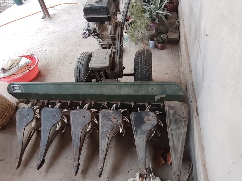 Jatka sotiladi holati yaxshi