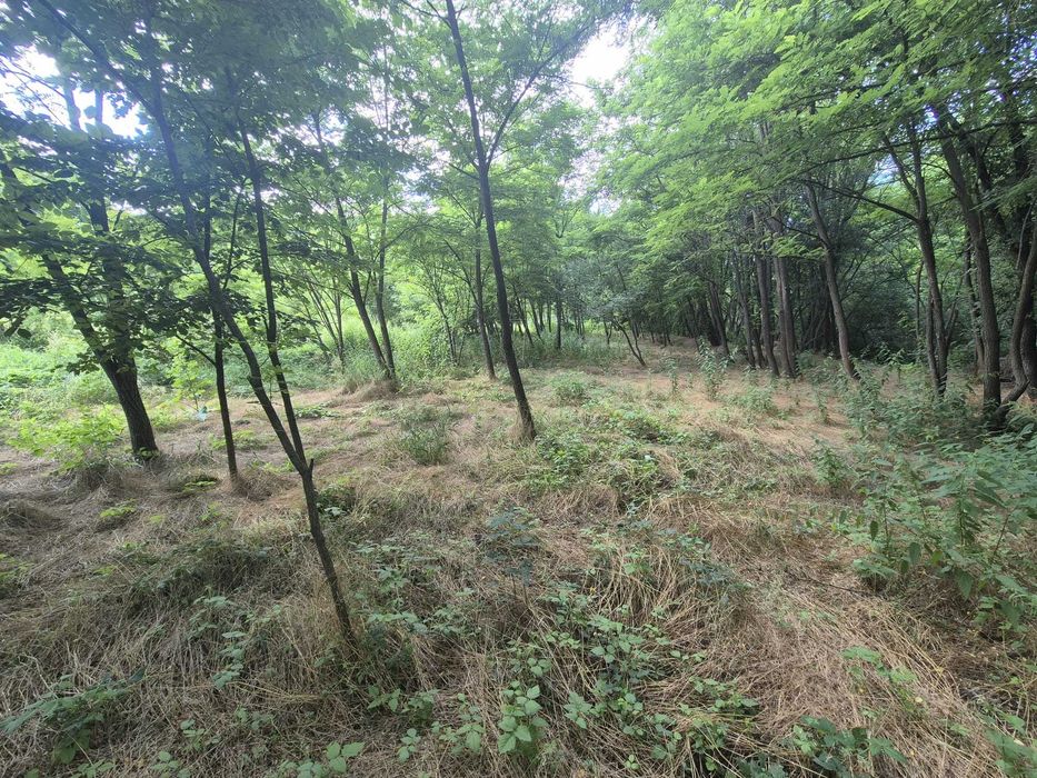 Teren intravilan 4500 mp în Milcoiu - 15 km de Rm.Valcea