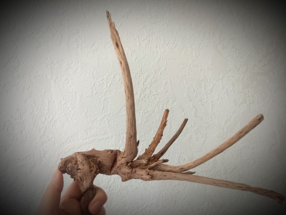 Коряги для аквариума. Камни для аквариума.