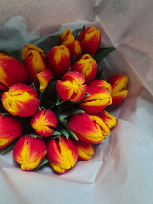 Тюльпан к 8 марта ОПТОМ
