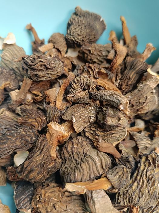 Zbârciogi proaspete sau deshidratate