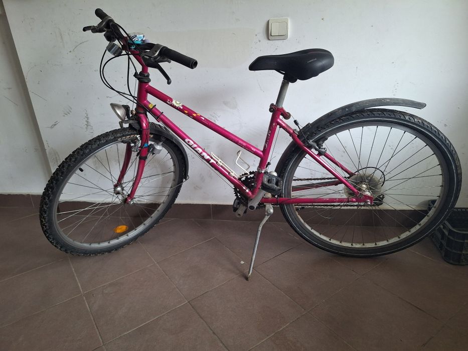Bicicleta roz bike