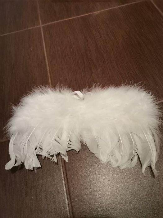 Costumații ședințe foto bebeluși