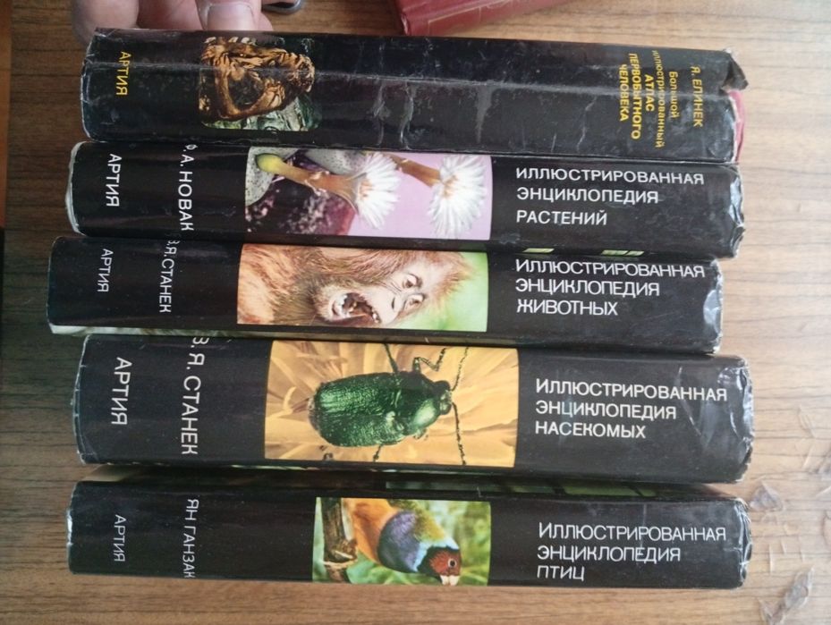 Иллюстрированная детская энциклопедия