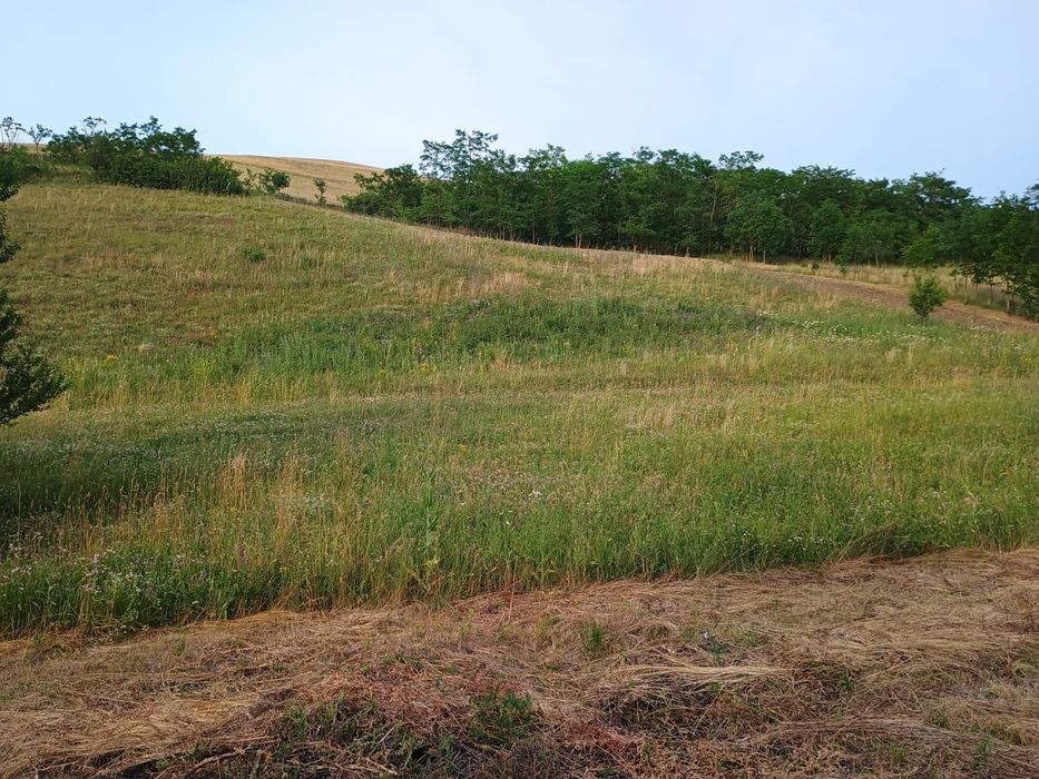 2 terenuri intravilan  intre Apahida si Cojocna 35 € mp.