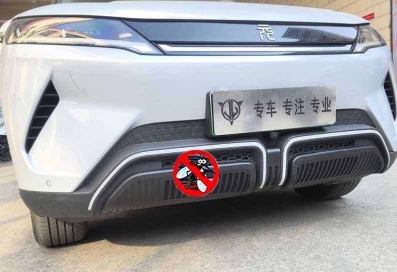 Защитная сетка радиатора.