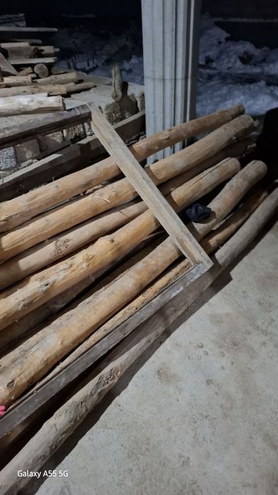 Terak toʻsinlar sotiladi (b.u)