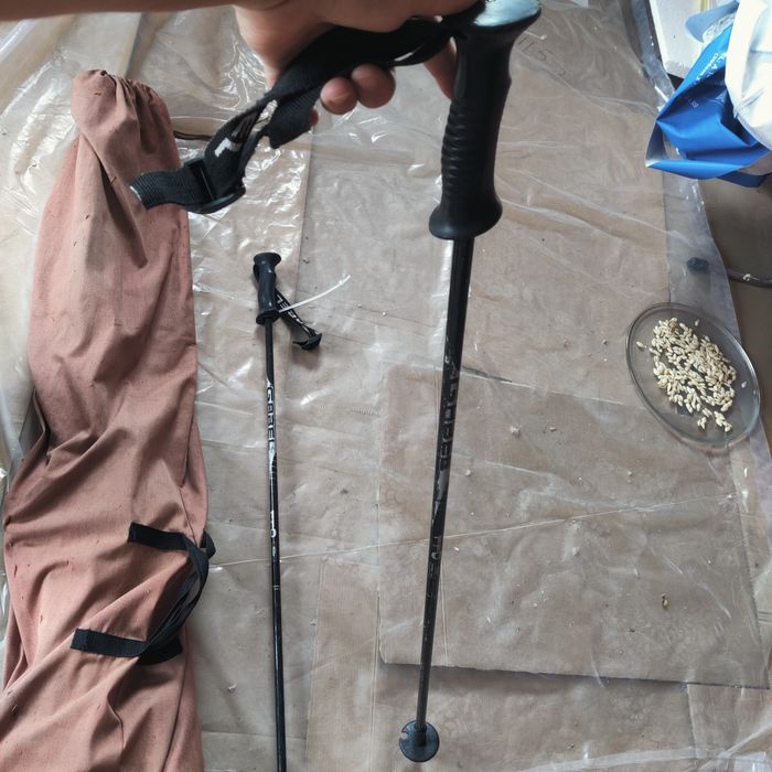 Комплект ски принадлежности. Pro Blizzard Gforce 174  Salomon Mission