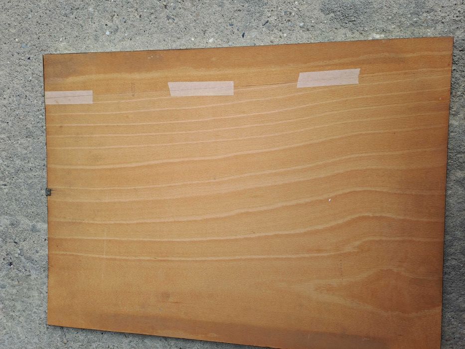 lemn tablou intarsie 57/42 cm