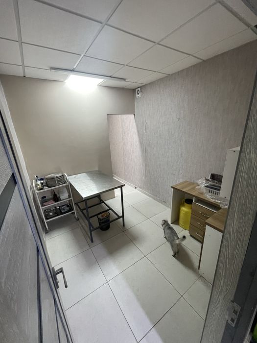 Сдаётся 3 ком натная 60 кв 1 етаж под  бизнес Куйлюк 1 массив конечка