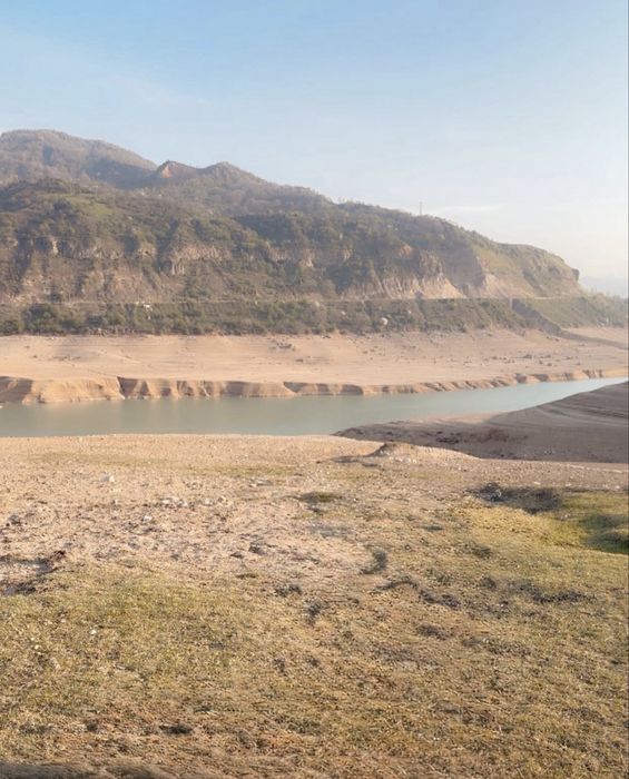 Srochno Sijjakda yer  elit dachaga