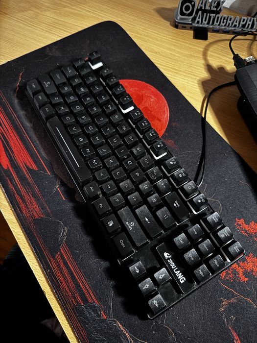 Tastatura Gaming RGB Ziyou Lang