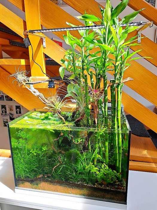 Палюдариум на заказ /Palydarium