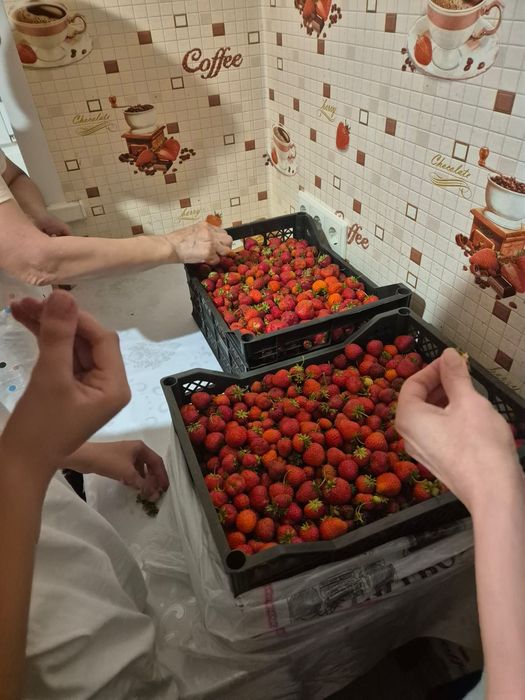 Продам саженцы клубники