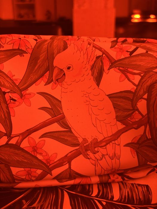 Очила със цветни стъкла