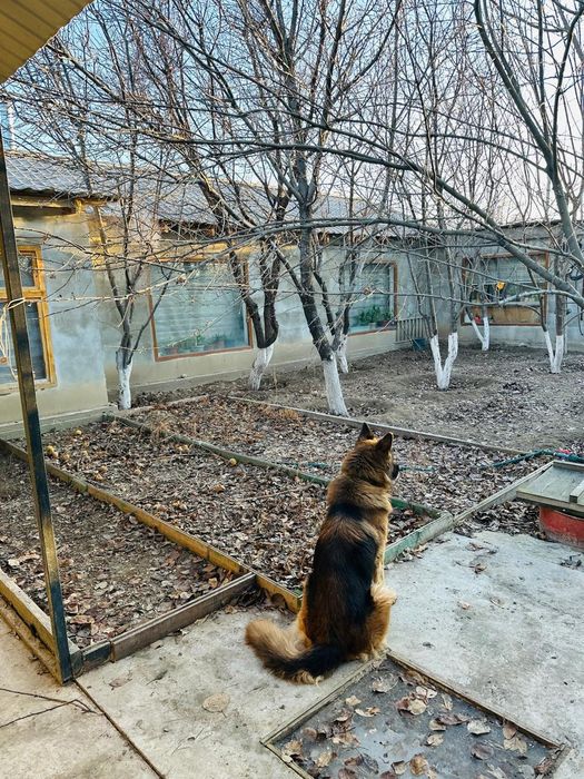 Продам дачу с домом С/о Химик