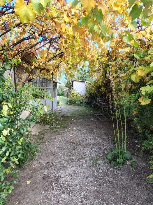 Casa si teren intravilan 3700mp in comuna Singureni, Giurgiu