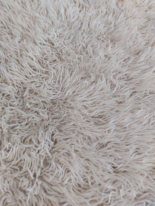 Аша китеник губер халище