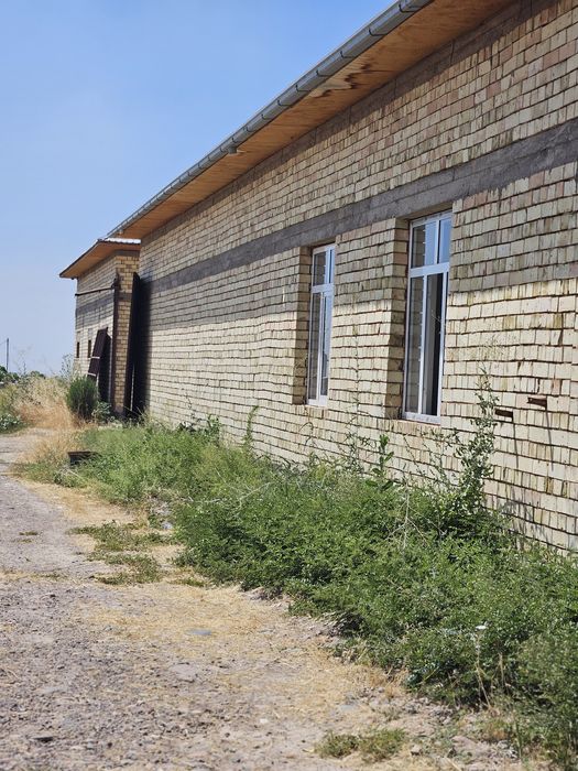 Ферма и земля 2,01 гектар