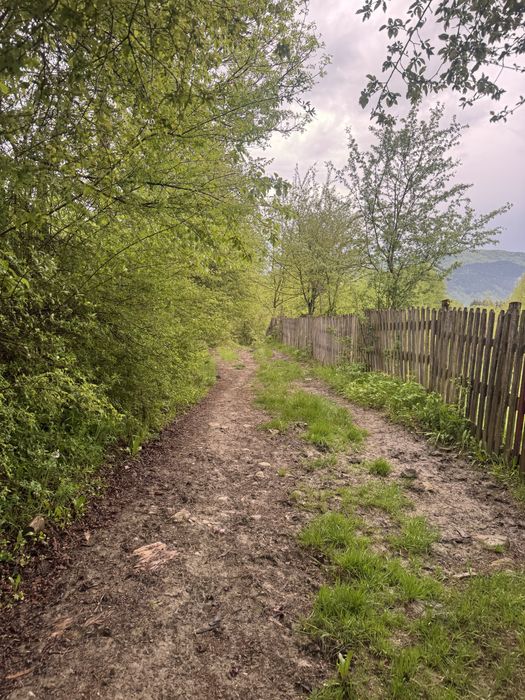 Teren de vanzare Valea Doftanei 2368mp