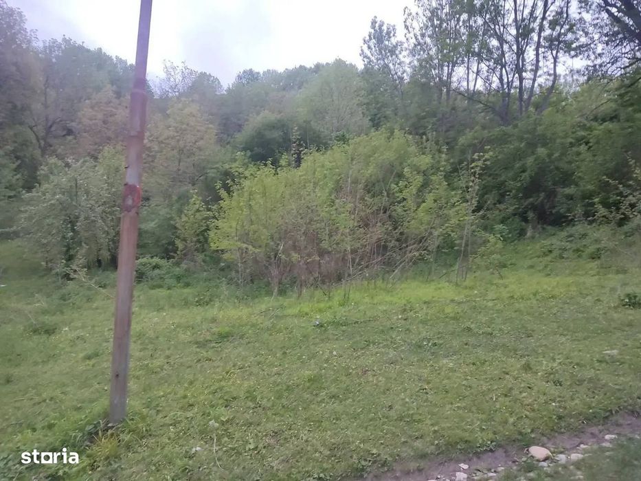 Teren intravilan | Provița de Sus | Breaza | PRAHOVA