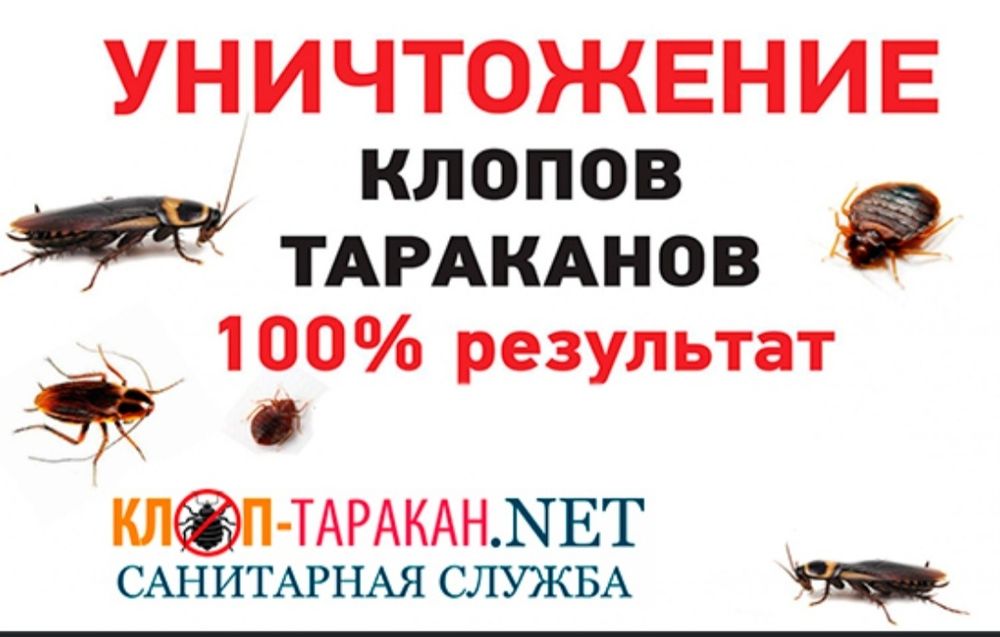 Klapa tarakan chayon ilon va barcha turdagi xashorotlardan dizinfekiya