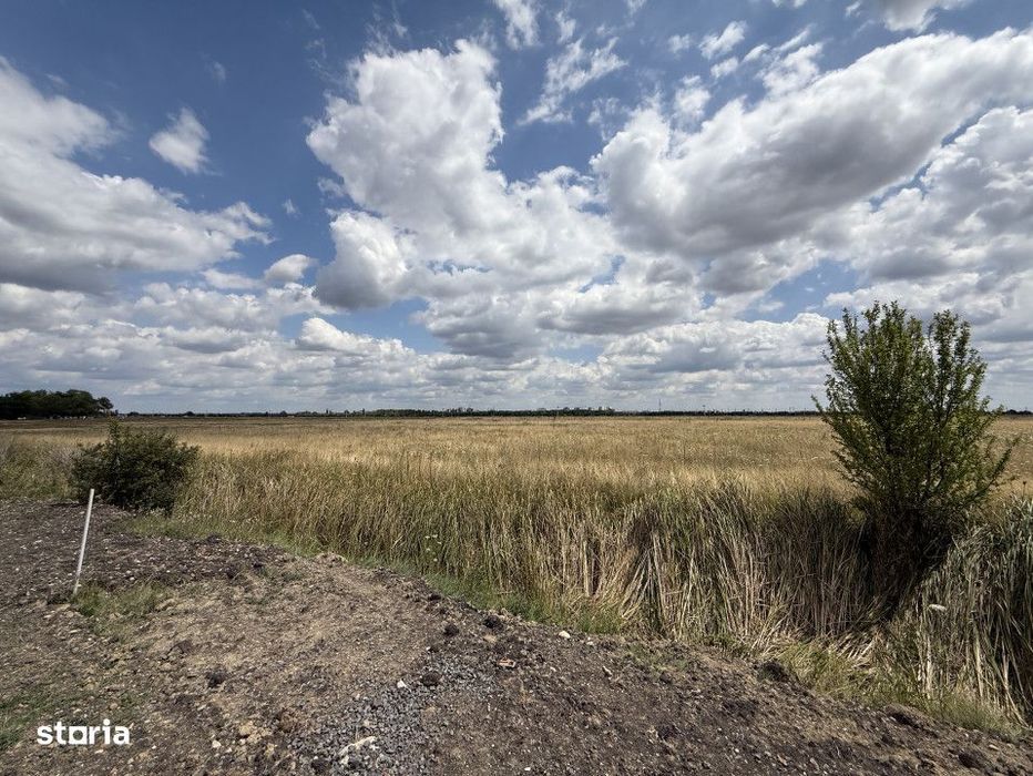 Teren Intravilan 976 mp, regim S+P+2E, utilat -  Torontalului