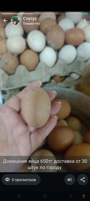 Яйца домашние всегда свежие.