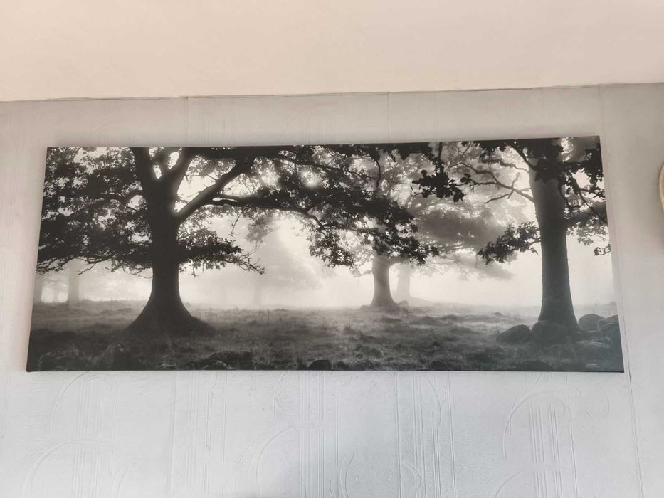 Голяма Картина с размер 100х40см