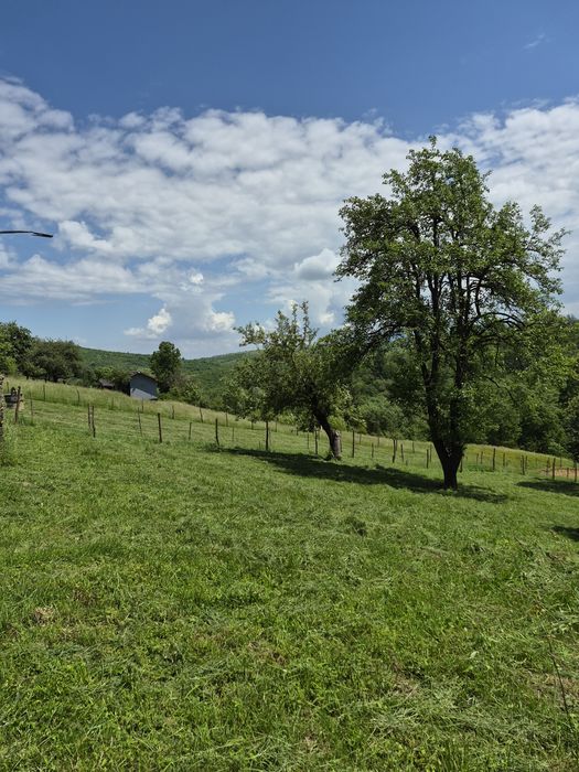 Vand teren intravilan Bran ,Tohănița  ,1986 mp