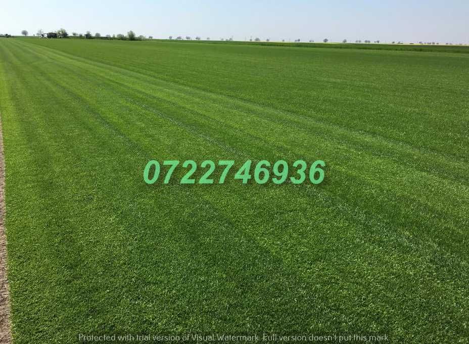 Gazon Natural pentru Amenajări Exterioare Elegante