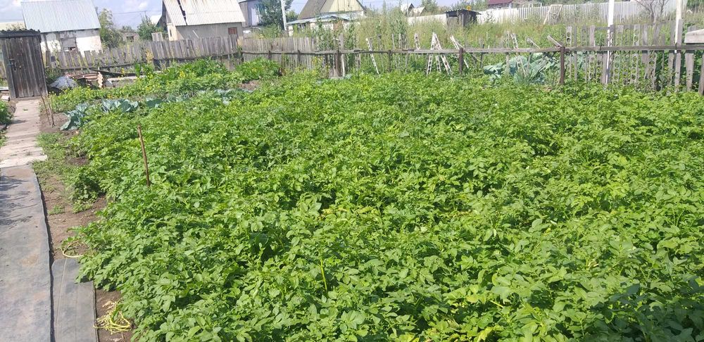 Дача Федоровка заря свет