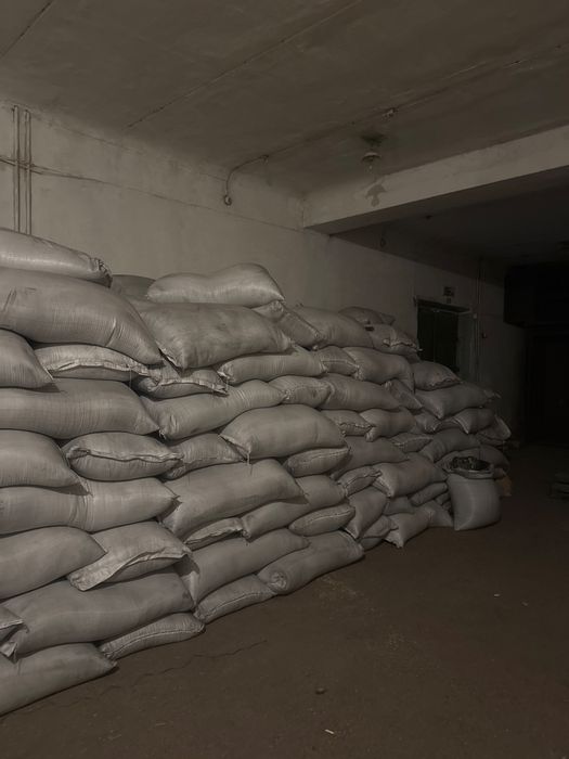 Семена люцерны семиреченская