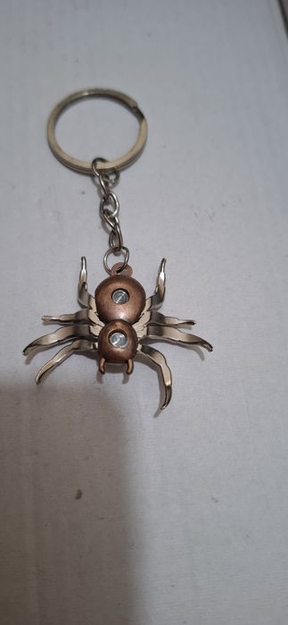 Брилок паук.  Паук