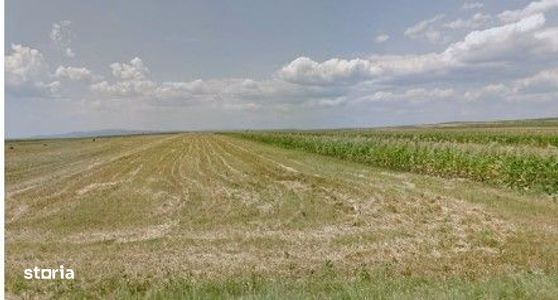 Teren extravilan cota parte 1/3 Cernatesti , ID: R2586146