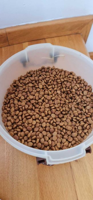 Mancare Hrana umeda si uscata Royal Canin, vitamine, accesorii pisici