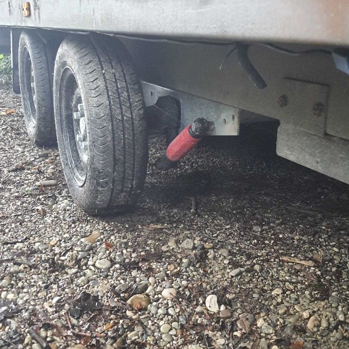 Remorca Tandem Saris 4m x 1,8 m