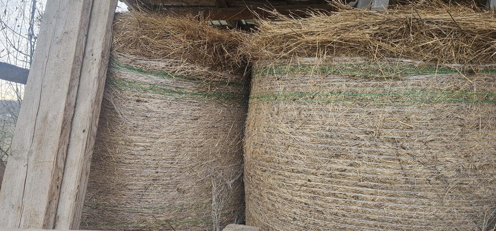 Baloți de vânzare an 2025