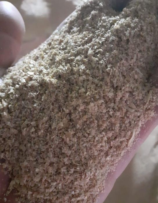 Отруби [кебек] 2000тг/м Оптом