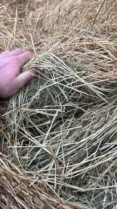 Vand 5 baloti de fan mari