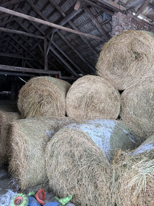 Vand baloti lucerna 120x120