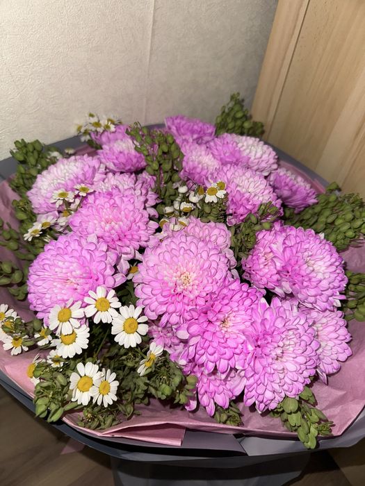 Цветы хризантемы